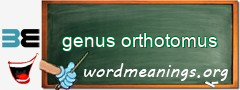 WordMeaning blackboard for genus orthotomus